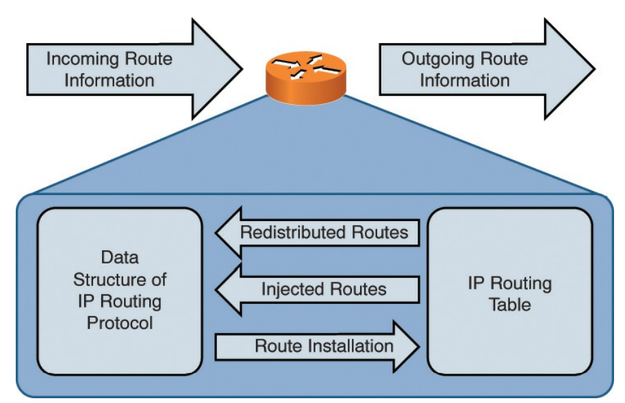 تعامل بین ساختار داده های پروتکل مسیریابی IP و جداول مسیریابی IP