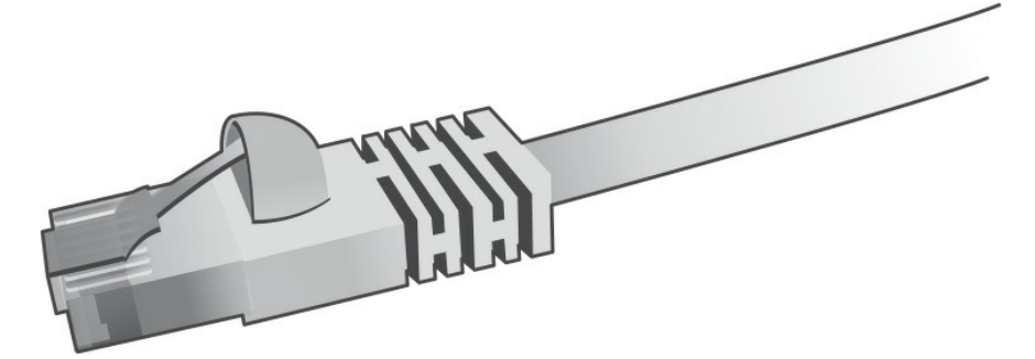 network plus
