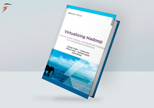 Virtualizing Hadoop book